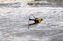Thumbs/tn_Kite Board Open 2016 zaterdag 042.jpg